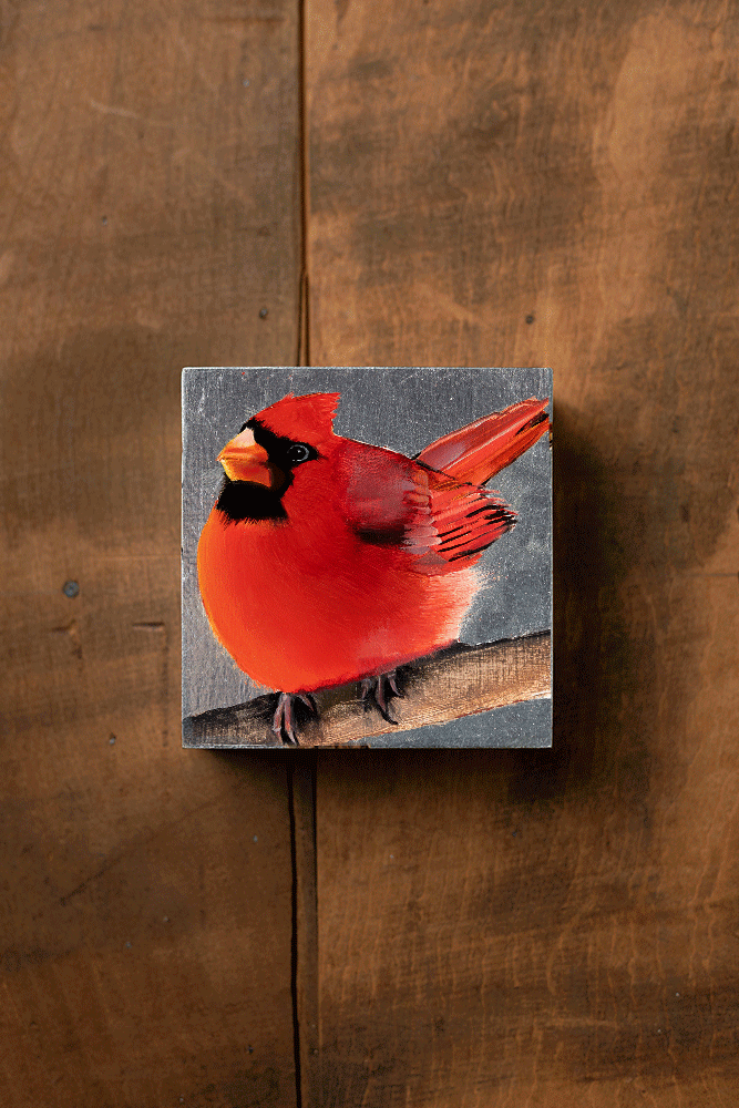 Christmas Cardinal