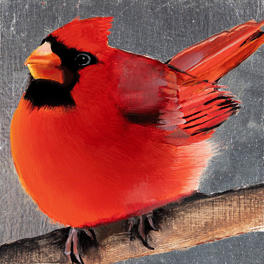 Christmas Cardinal