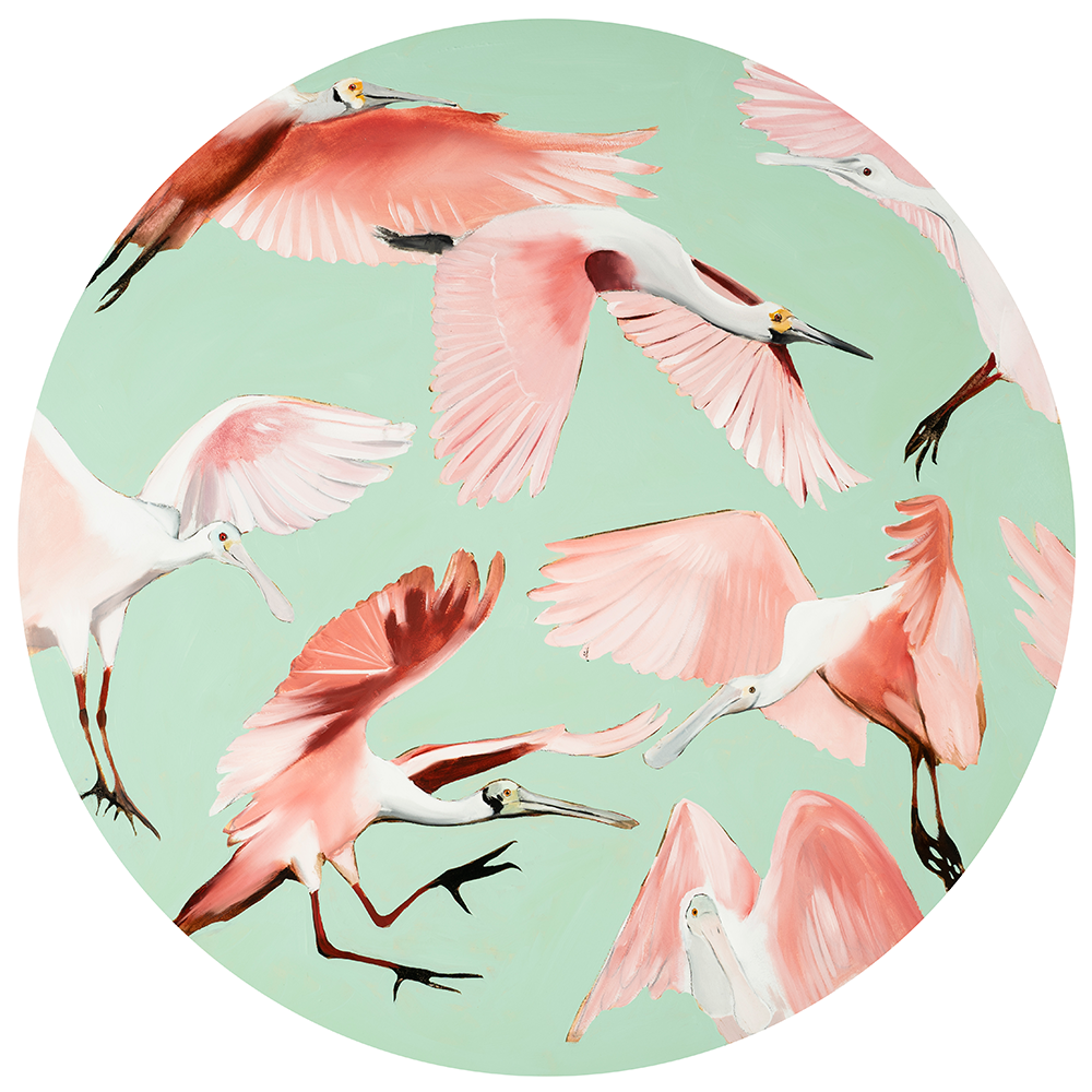 Spoonbill Circle